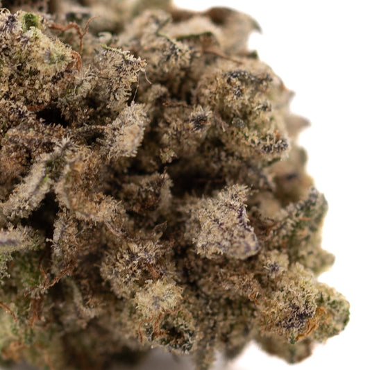 Money Ball THCa Hemp Flower Greenhouse