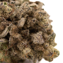 Money Ball THCa Hemp Flower Greenhouse Wholesale