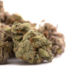 Money Ball Indoor THCa Flower - Plants