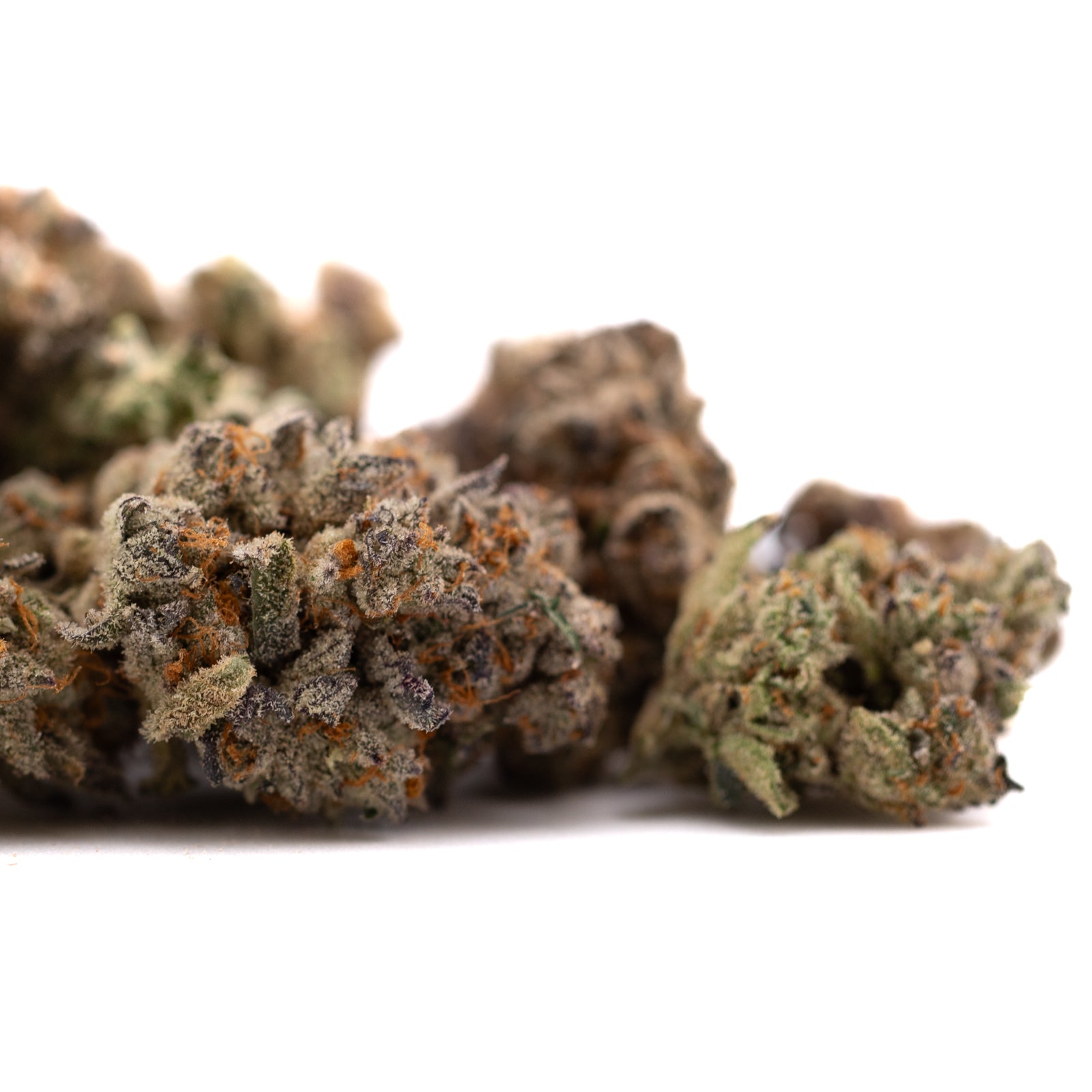 Money Ball Indoor THCa Flower - Plants