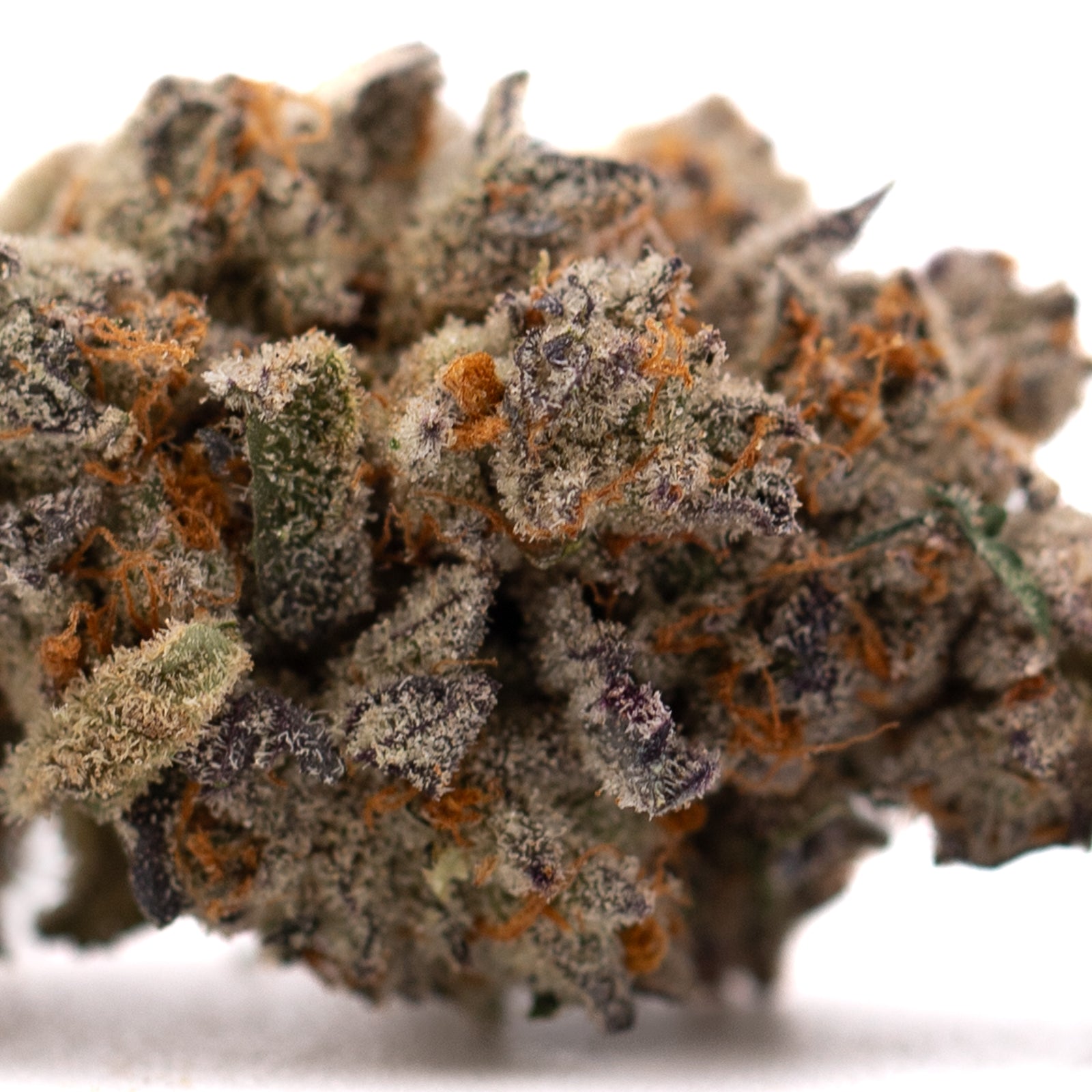 Money Ball Indoor THCa Flower - Plants