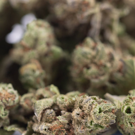 Moroccan Peach THCa Hemp Flower Greenhouse Smalls