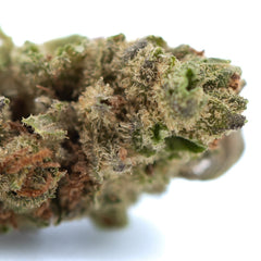 Moroccan Peach THCa Hemp Flower Greenhouse Smalls Wholesale