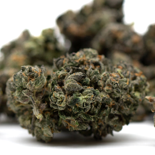 Motorbreath Indoor THCa Flower - Plants