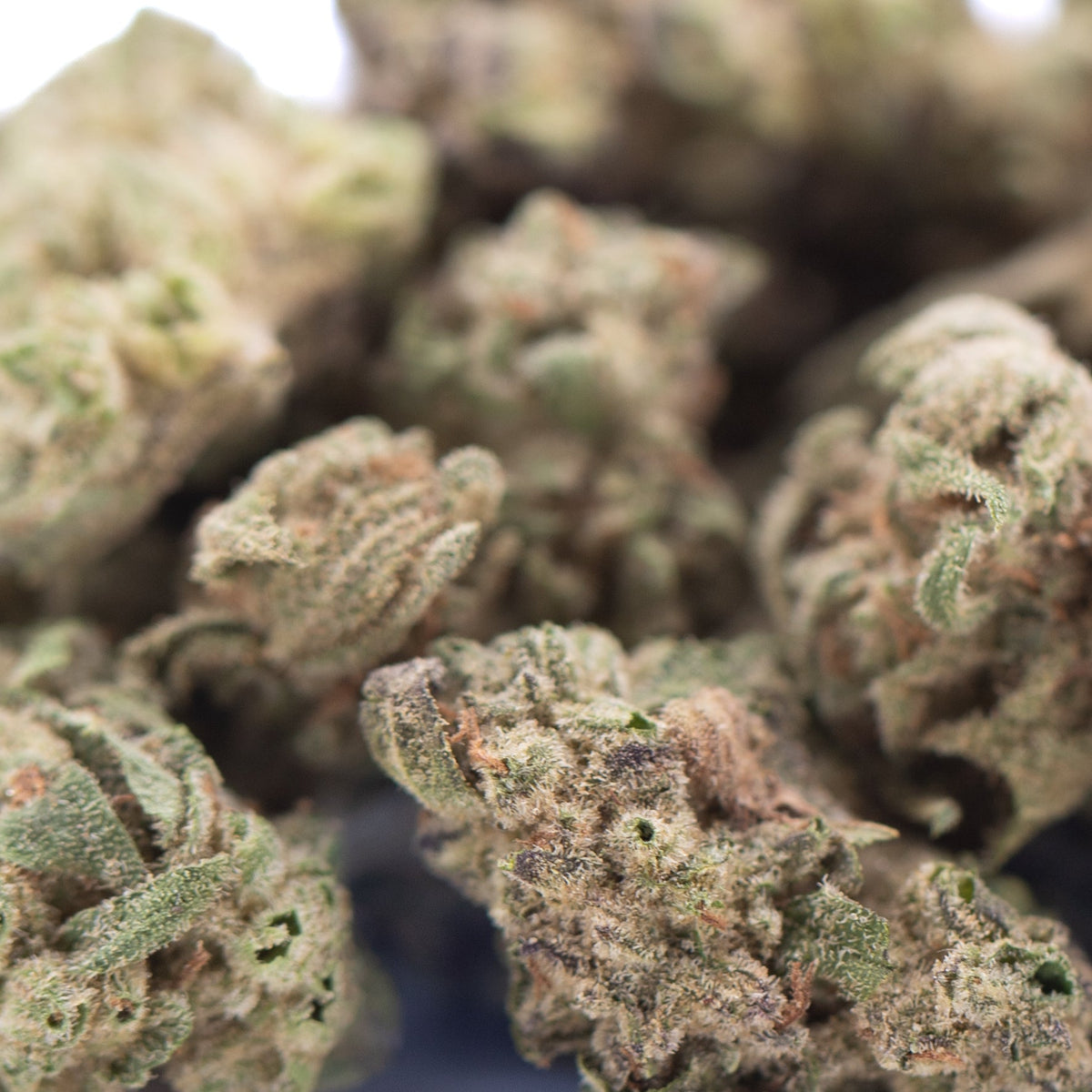 Nascar THCa Hemp Flower Greenhouse Smalls