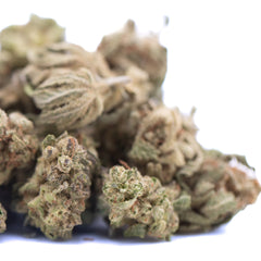 Nascar THCa Hemp Flower Greenhouse Smalls