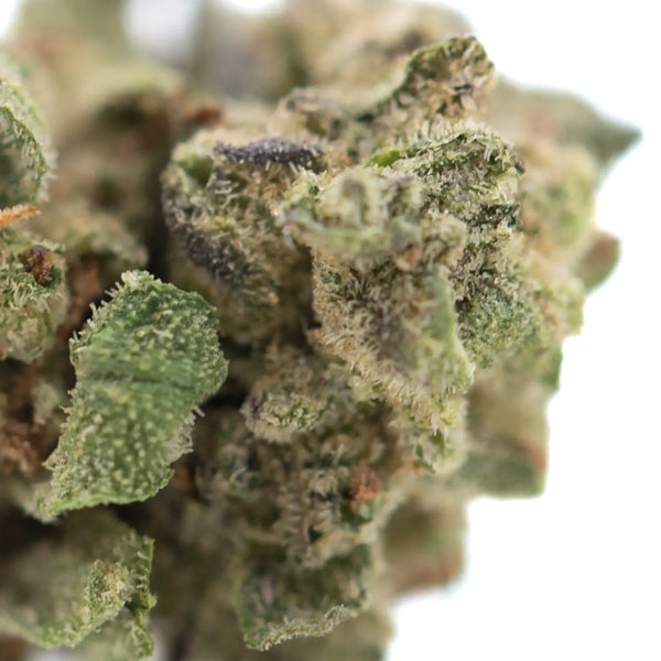 Indica vs. Sativa vs. Hybrid