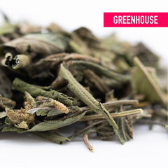 Nascar Greenhouse THCa Trim Wholesale