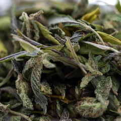 Nectarine Jelly Greenhouse THCa Trim Wholesale