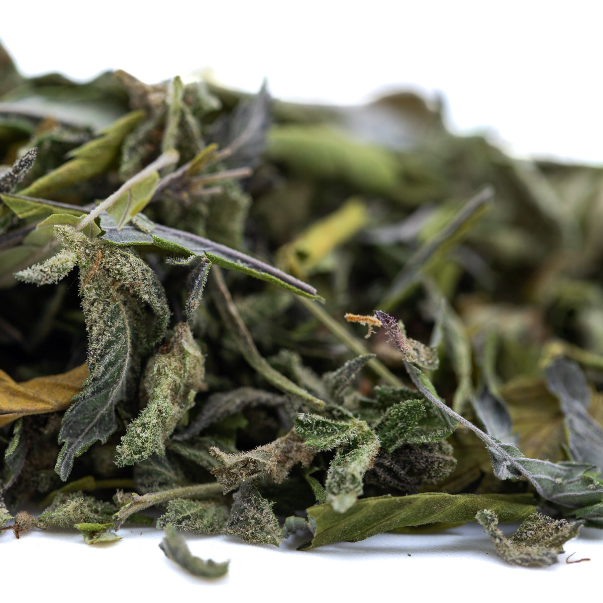 Nectarine Jelly Greenhouse THCa Trim Wholesale