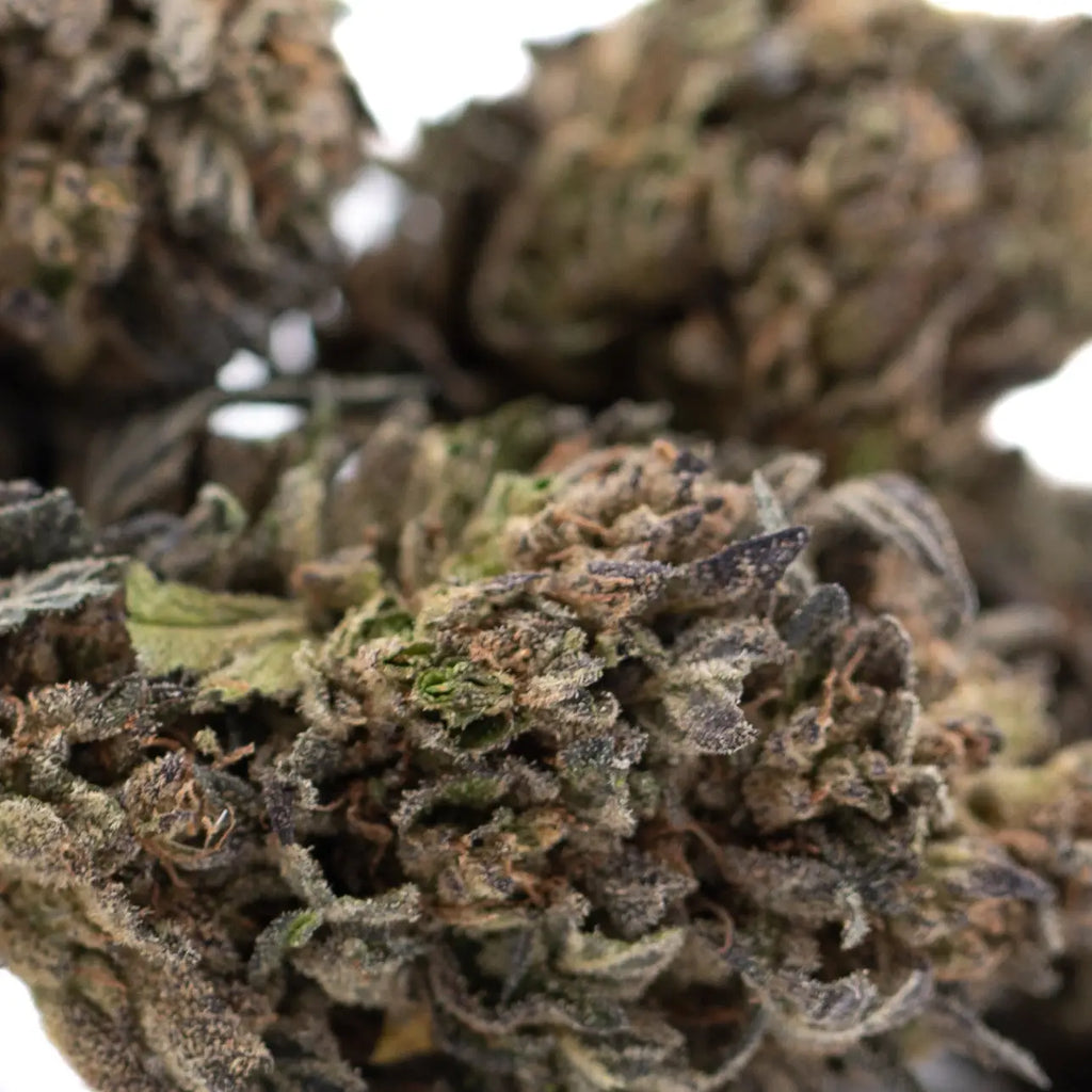 Greenhouse THCA Flower Showdown