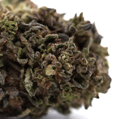 Orange Runtz THCa Hemp Flower Greenhouse Wholesale