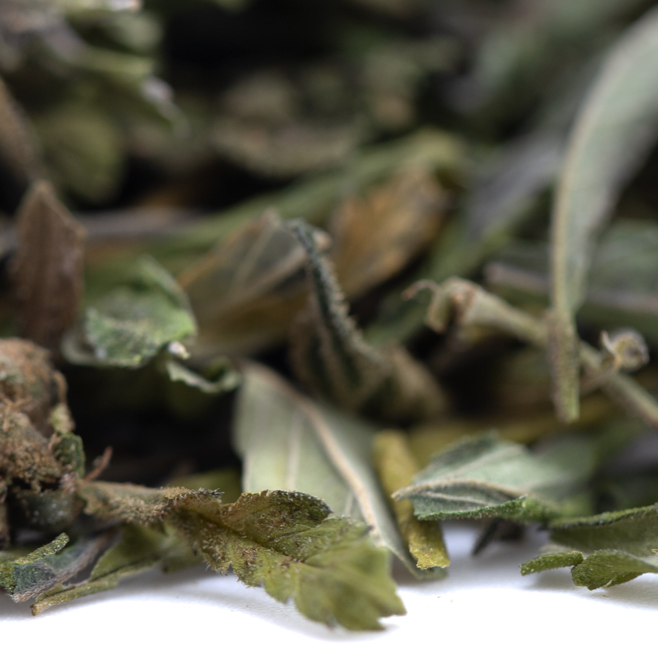 Orange Runtz Greenhouse THCa Trim Wholesale - Oregon Hemp Flower