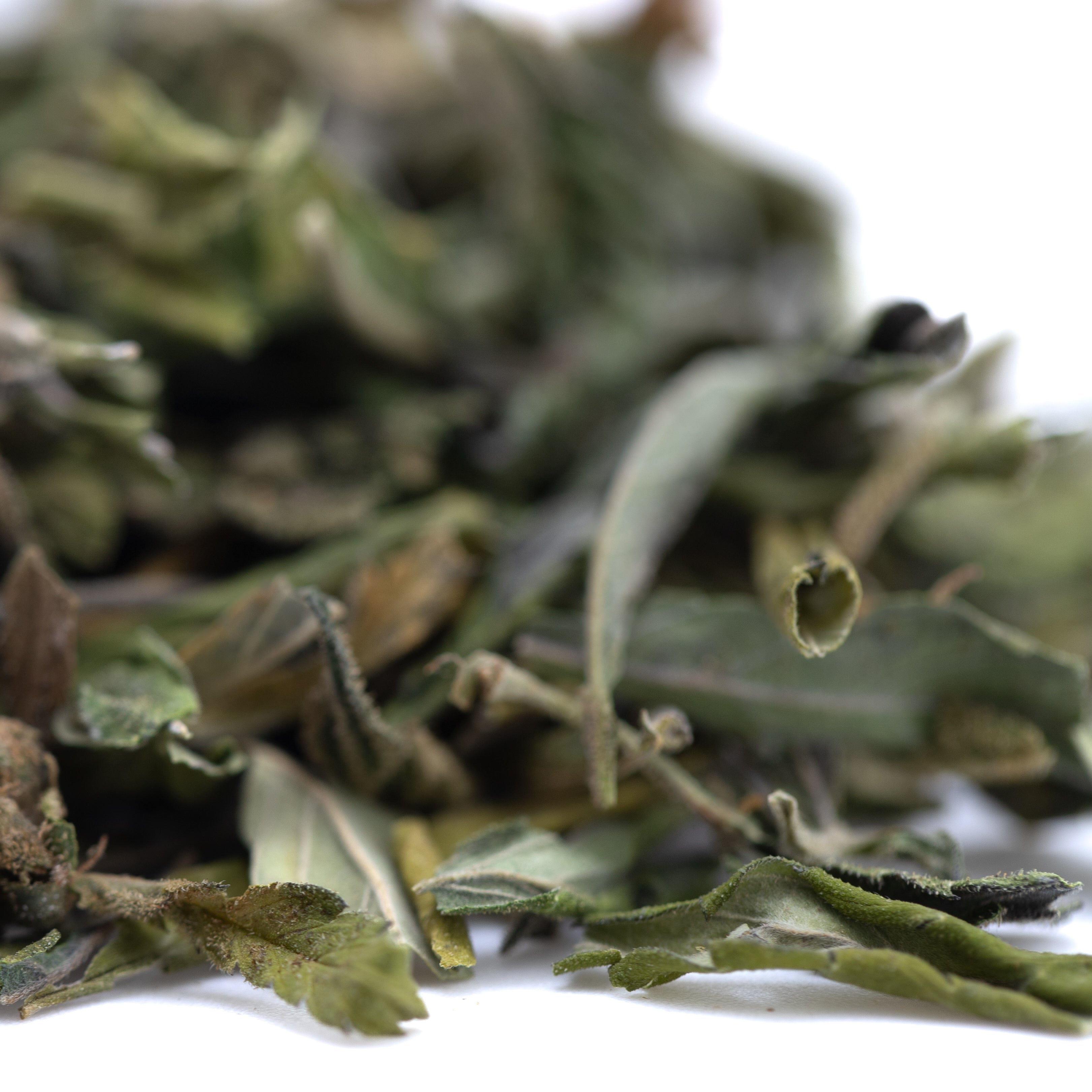 Orange Runtz Greenhouse THCa Trim Wholesale - Oregon Hemp Flower