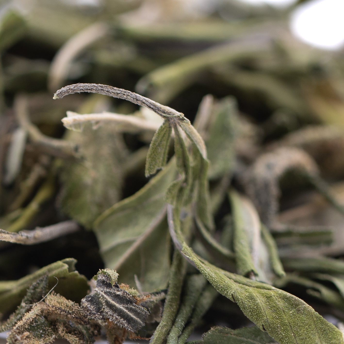 Orange Runtz Greenhouse THCa Trim Wholesale - Oregon Hemp Flower