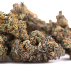 Orange Sumo THCa Flower