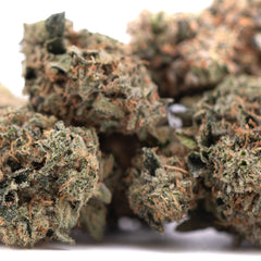 Party Animals #2 Indoor THCa Flower