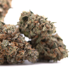 Party Animals #2 Indoor THCa Flower