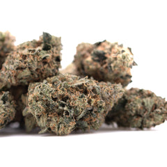 Party Animals #2 Indoor THCa Flower