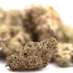 Peach Pie THCa Hemp Flower Greenhouse Smalls