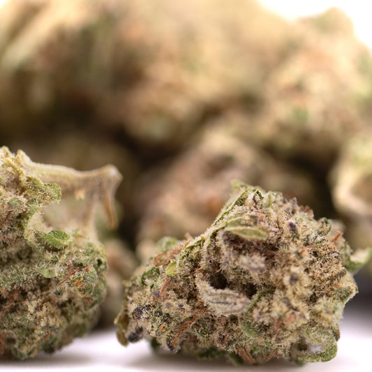 Peach Pie THCa Hemp Flower Greenhouse Smalls