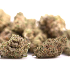 Peach Pie THCa Hemp Flower Greenhouse Smalls