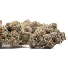 Platinum Cookies Indoor THCa Flower