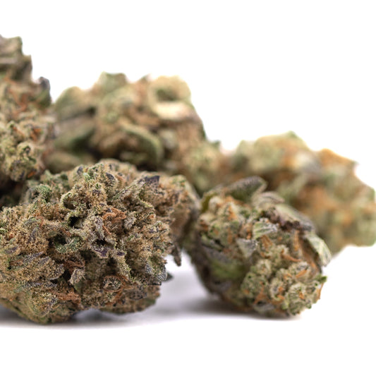 Poison Gushers THCa Hemp Flower Greenhouse Wholesale