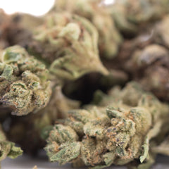 Poison Gushers THCa Hemp Flower Greenhouse Smalls