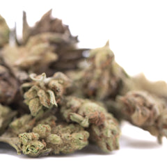 Poison Gushers THCa Hemp Flower Greenhouse Smalls