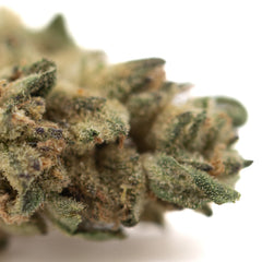 Poison Gushers THCa Hemp Flower Greenhouse Smalls