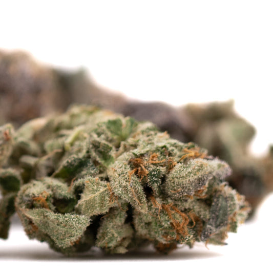 Poppin’ Bottlez #2 Indoor THCa Flower - Plants