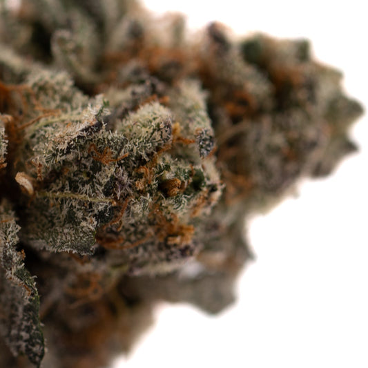 Poppin’ Bottlez #2 Indoor THCa Flower - Plants