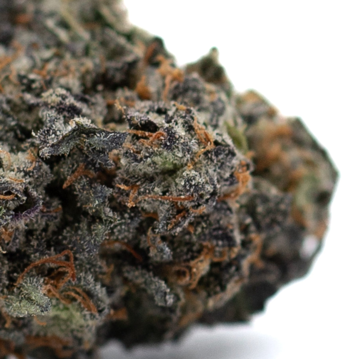 Poppin’ Bottlez Indoor THCa Flower - Plants