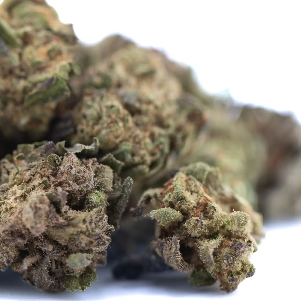 Shipping, Packaging & Storing Bulk THCA Flower