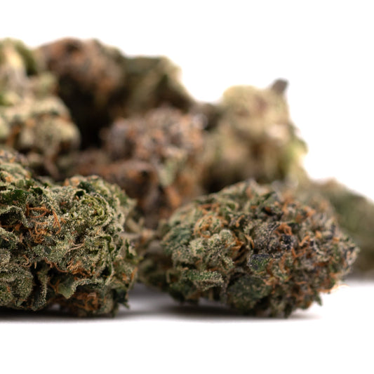 Pressure #2 Indoor THCa Flower - Plants