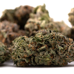 Pressure #2 Indoor THCa Flower - Plants