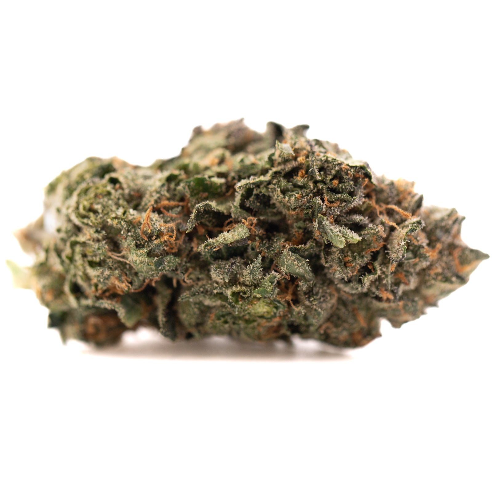 Pressure #2 Indoor THCa Flower - Plants