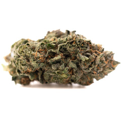 Pressure #2 Indoor THCa Flower - Plants