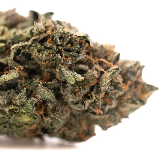 Pressure #2 Indoor THCa Flower - Plants