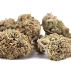 Pure Kush THCa Hemp Flower Greenhouse