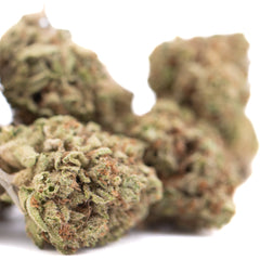 Pure Kush THCa Hemp Flower Greenhouse