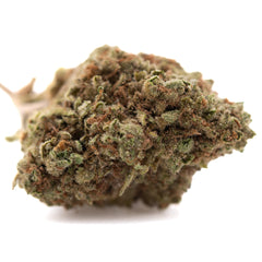 Pure Kush THCa Hemp Flower Greenhouse