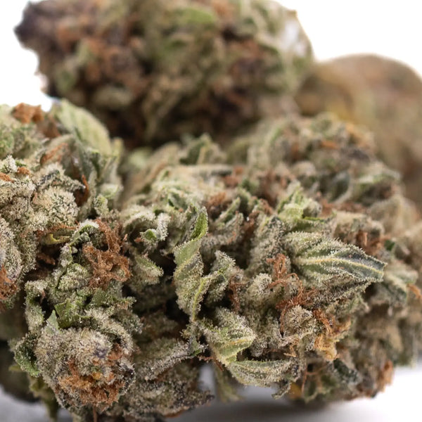 Crossbreeding vs Backcrossing