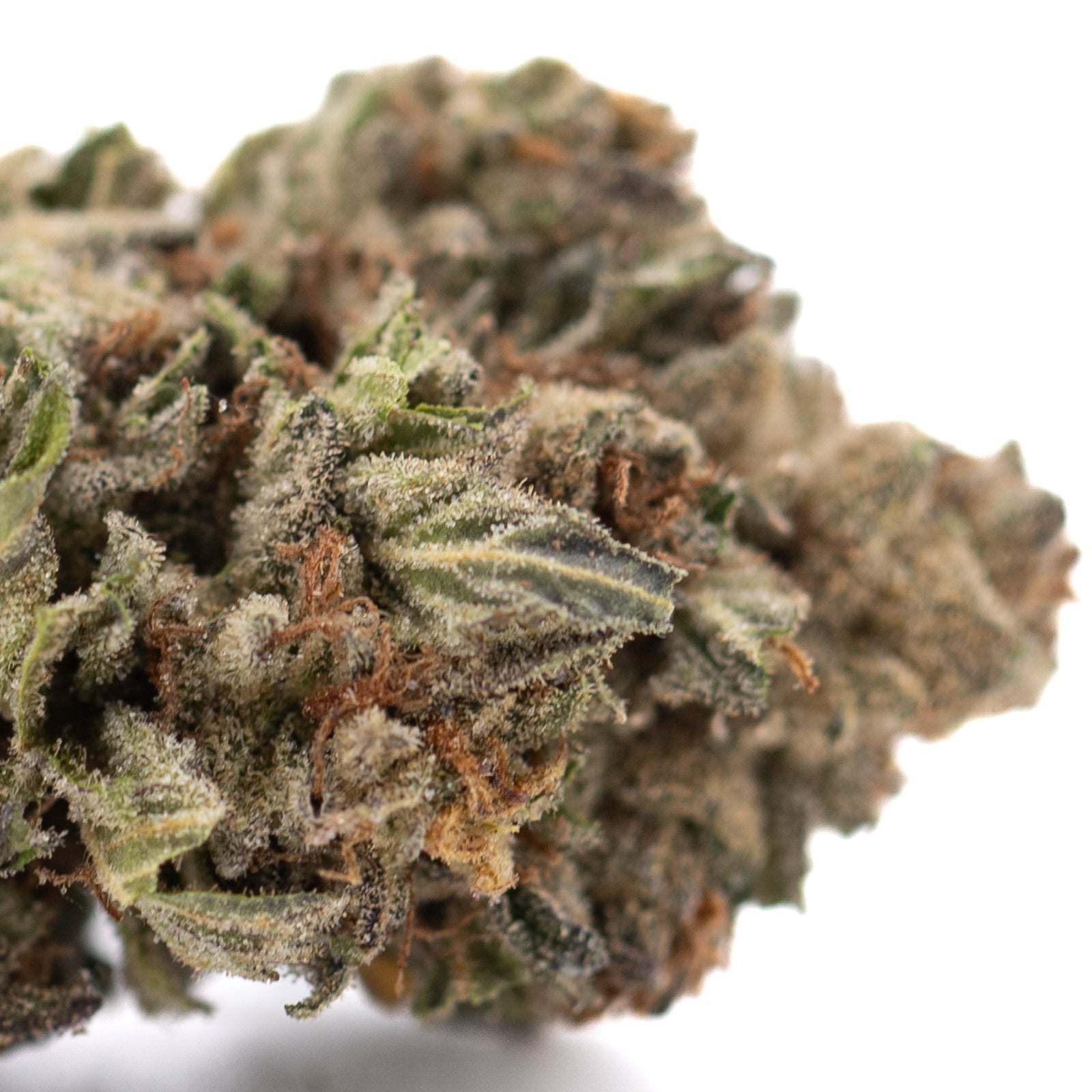 Pure Michigan THCa Hemp Flower Greenhouse