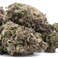 Purple Daiquiri THCa Hemp Flower Greenhouse