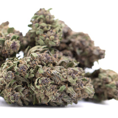 Purple Daiquiri THCa Hemp Flower Greenhouse