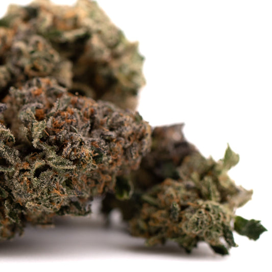 Purple Lemon Cake Indoor THCa Flower Wholesale - Plants