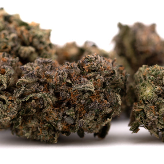 Purple Lemon Cake Indoor THCa Flower Wholesale - Plants