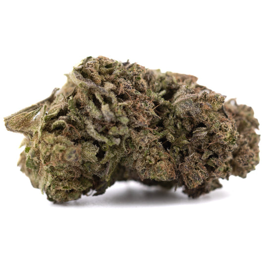 Purple Marmalade THCa Hemp Flower Greenhouse - Plants